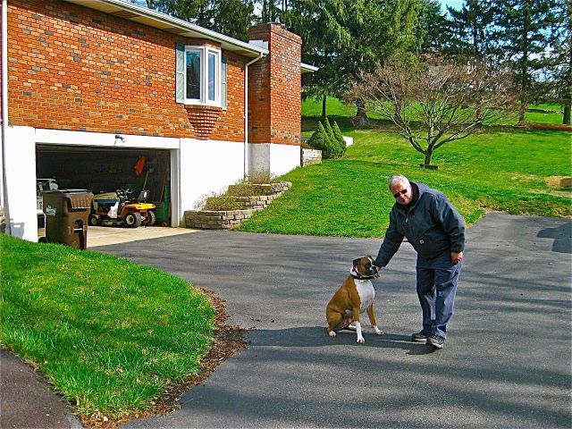 Beverley Hills Pa House in 2016 - 2