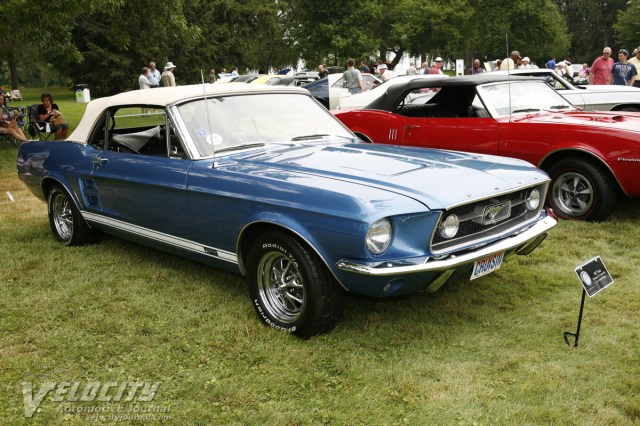blue-mustang